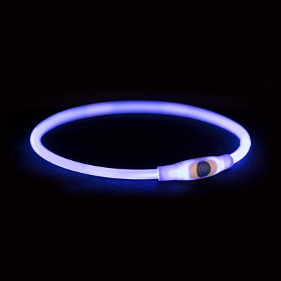 Niemarkowa, sans marque trixie świecąca obroża, lampa błyskowa USB z możliwością ładowania, tpu, niebieska