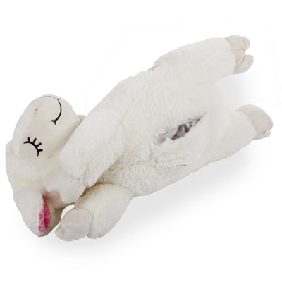 AFP Little Buddy Heart pokonał Schaap