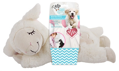 AFP Little Buddy Heart pokonał Schaap