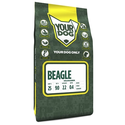 Yourdog Beagle dojrzały