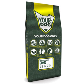 Yourdog Crnogorski Pliniński Gonic Pup