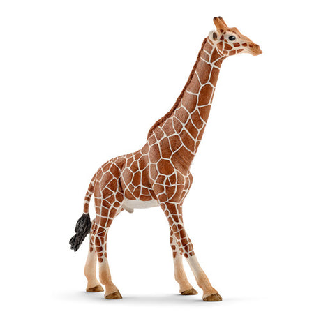 Schleich Wild Life - samiec żyrafy - figurka do zabawy - zabawki dla dzieci dla chłopców i dziewcząt - od 3 do 8 lat - 14749