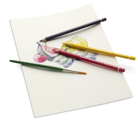 Ołówek akwarelowy Faber-castell - Albrecht Durer - puszka 24 sztuki - fc-117524