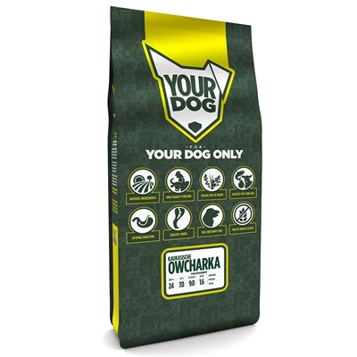 Yourdog Caucasian Owcharka Adult