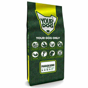 Twój faraon psa dojrzały