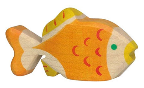 Złota rybka Holztigera. 8cm.