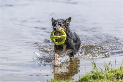 Trixie Aqua zabawka do ciągnięcia, limonka
