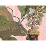 Komar Komar Photo Wallpape Plantation 350x270 cm