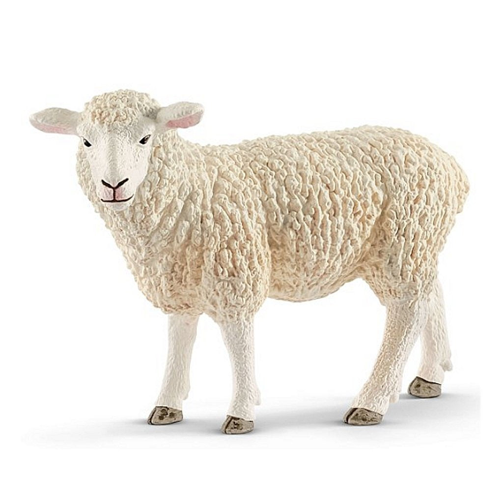 owca Schleicha