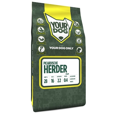 Twój Picardic Shepherd Puppy