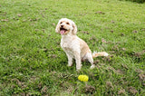 Happy Pet Grrrelli Soft Tugger Yellow
