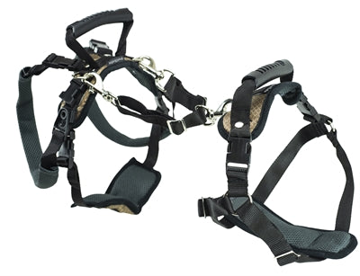 SOLVIT PETSAFE CARELIFT PRZED