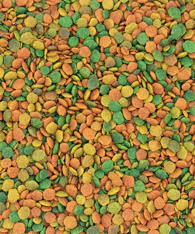 Nutribird Tropical G14 Feed