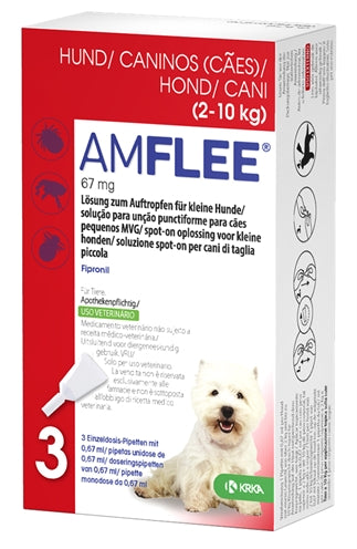 Krka amflee miejsce na Hond