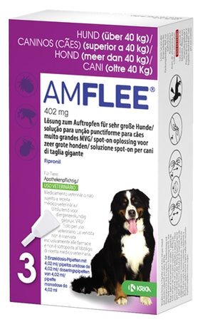 Krka amflee miejsce na Hond