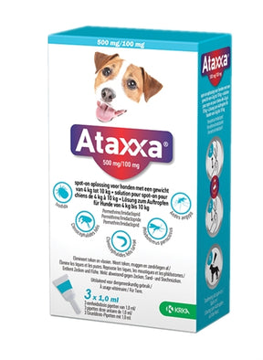 Krka ataxxa miejsce na Hond