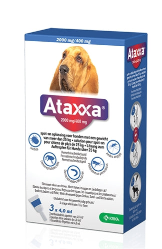 Krka ataxxa miejsce na Hond