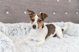 Trixie Sofa Bed meble meble obrońcy Angular White Black