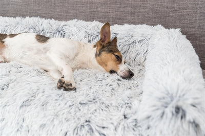 Trixie Sofa Bed meble meble obrońcy Angular White Black