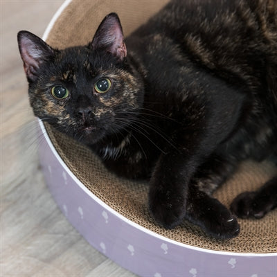 Trixie koszyk do drapania Lilly kartonowa kocimiętka, różne