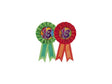 Rozeta Haza 18 Rozeta 18 Rozeta 18 Rozeta 18