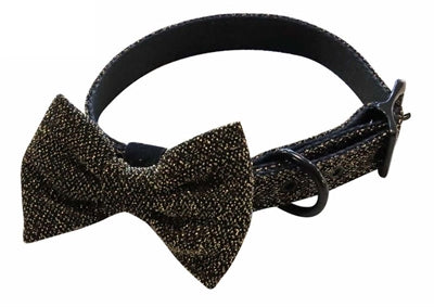 Złota obroża dla psa Croci Collar