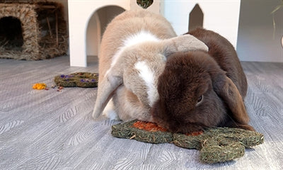 Natural Naturals Marchewka „N” Bunny