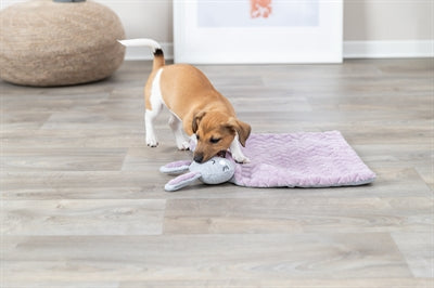 Trixie Puppy Boint Hare LILAC BAKTER