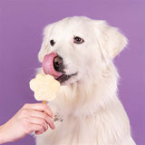 Smoofl Smoofl Ice Mix for Dog Banana