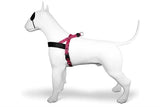 Norweskie szelki dla psa Morso z recyklingu, Bubble Leo, różowe