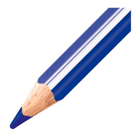 Grube, ergonomiczne kredki Stabilo trio w pudełku - 15 szt.