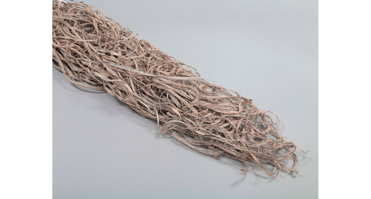 Pb. browny bark white brush 95-105 cm (400 gr.)