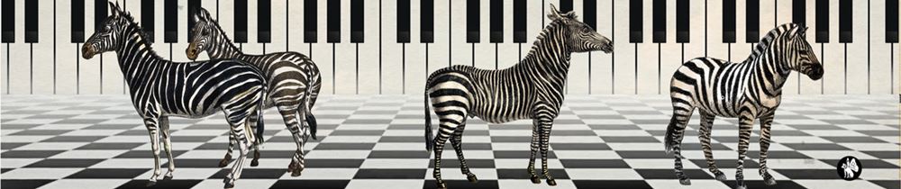 Rondo48 muzyczka: zebra 01 (frére jacque