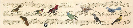 Muzyka Rondo61: nuty (wie schön, dass