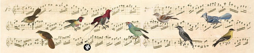 Muzyka Rondo77: nuty (ave Maria).