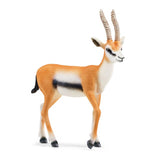 Gazela Thomsona Schleich 14861 | 5 sztuk