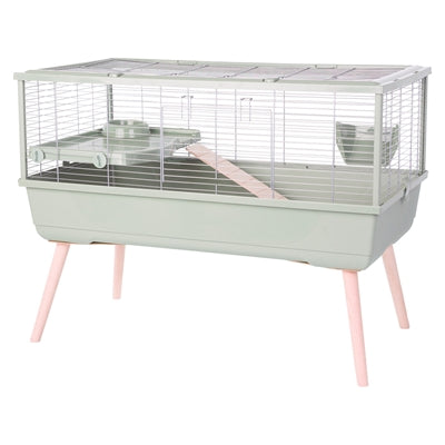 ZOLUX KAGE KAGEJ GADIA Neolife Green