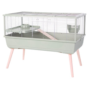 ZOLUX KAGE KAGEJ GADIA Neolife Green