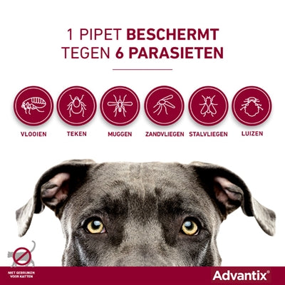 Elanco Advantix Spot on