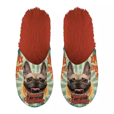pantofelek buldog francuski buldog francuski pomarańczowy