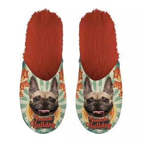 pantofelek buldog francuski buldog francuski pomarańczowy