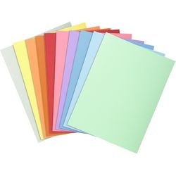 Folder sortujący exacompta 330000e asortyment kolorów kartonu