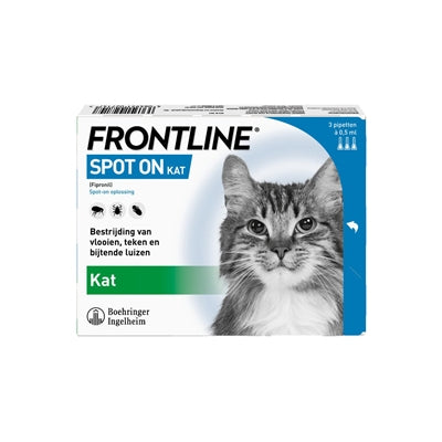 Kot na linii frontu