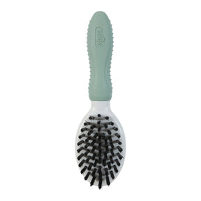 Gryzoń Zolux z miękką szczoteczką