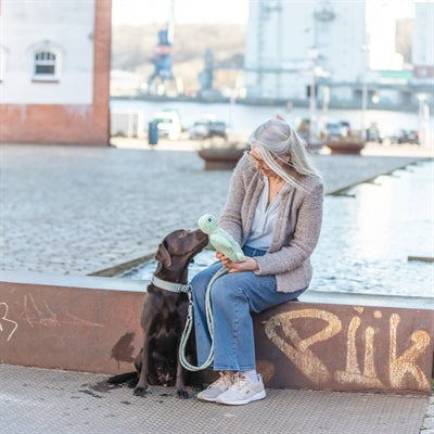 Pluszowy żółw Trixie w kolorze zielonym