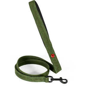 Zolux expert hondenriem premium leer neopreen groen