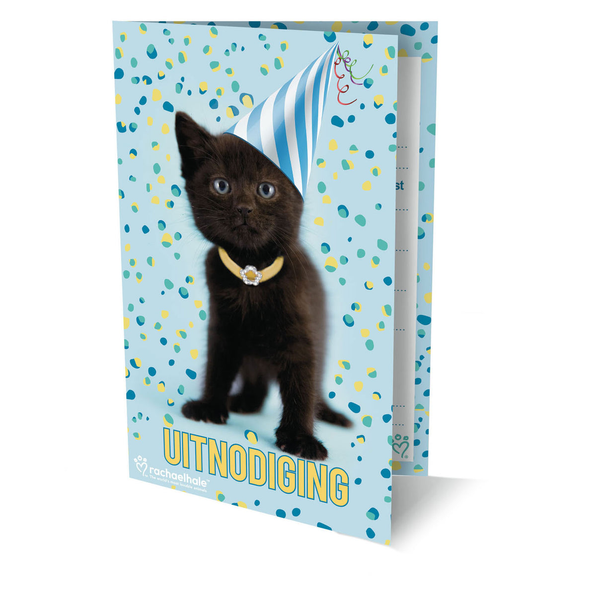 Zaproszenia Rachel Hale Cat, 6szt.