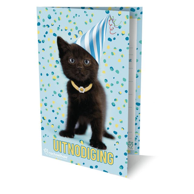 Zaproszenia Rachel Hale Cat, 6szt.