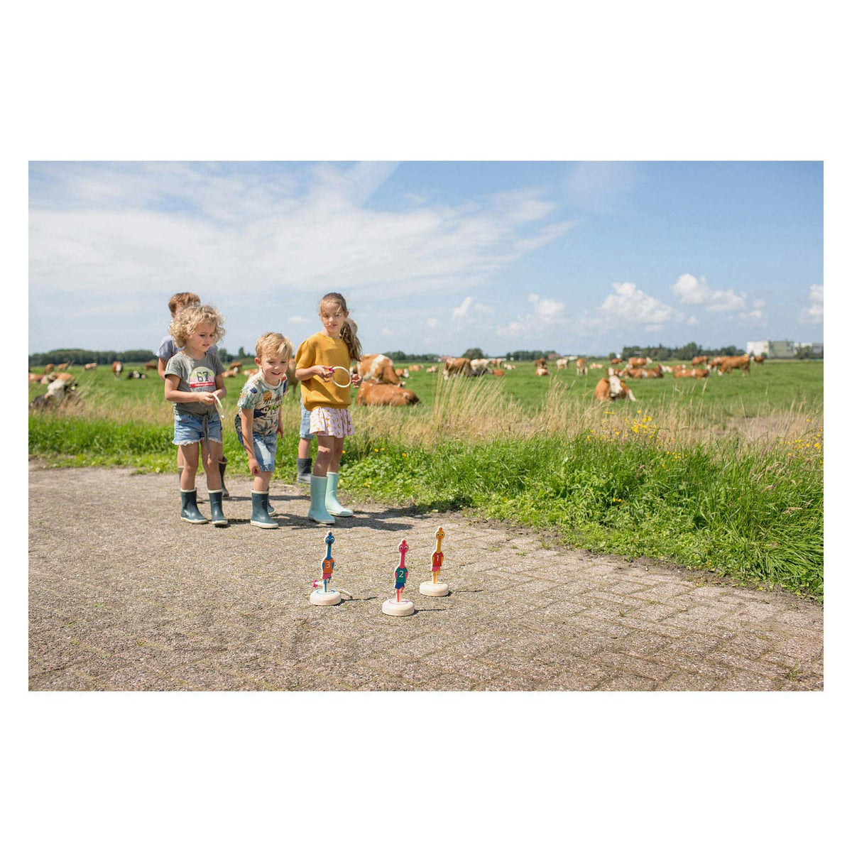 BS Toys Ringwerpen Birds Wood - Gra rzucania