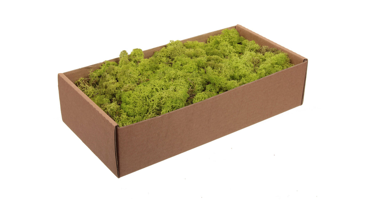 W b. 500g. finnland moss light-green 500gr.